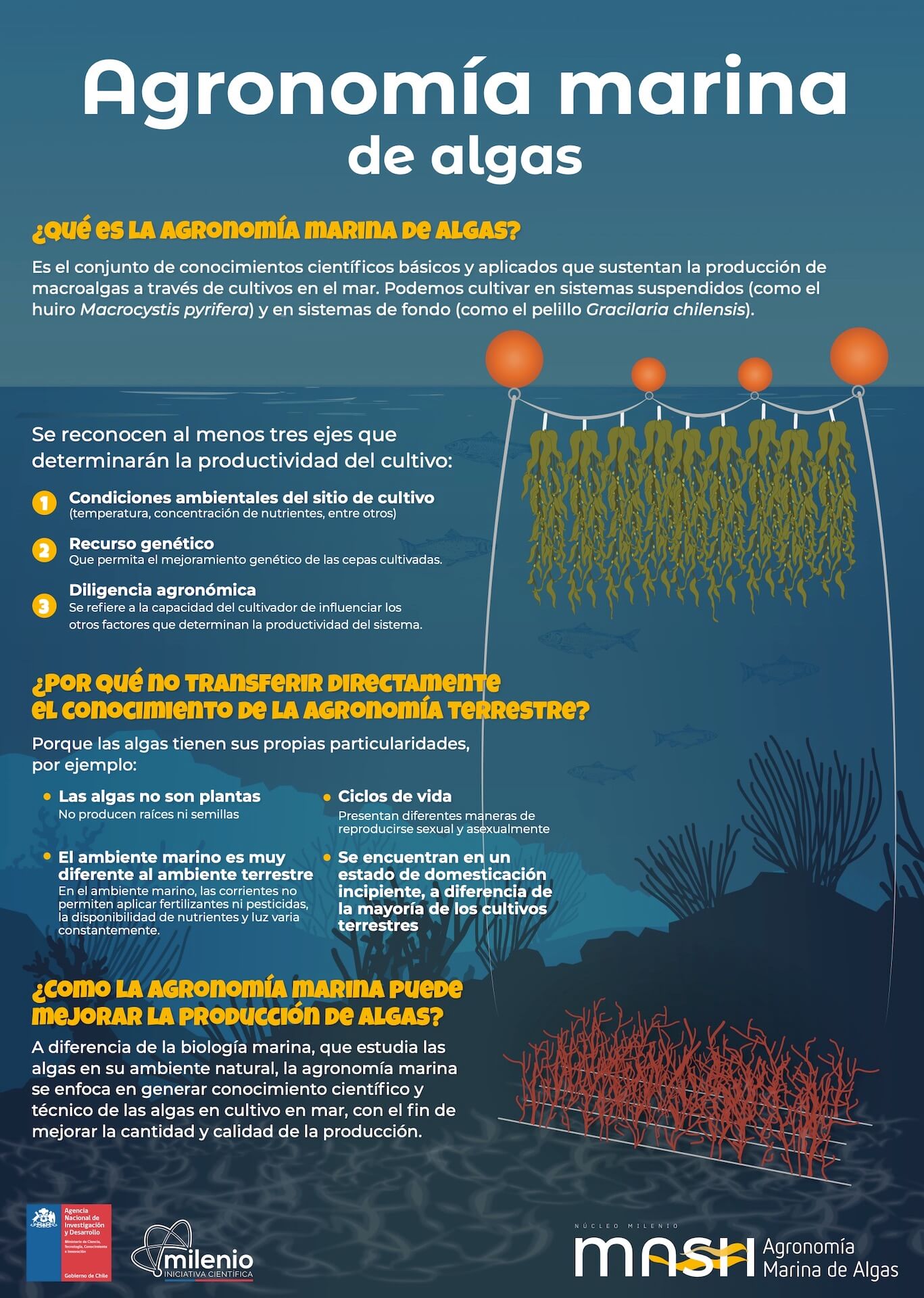 Infografías – Milenio MASH